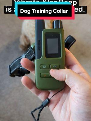 We all know how stubborn Goldendoodles can be 😂 This has saved so much frustration!! #ecollar #jugbowecollar #jugbow #dogtrainingcollar #recalltraining  #tiktokshopcreatorpicks #newyearnewaura 