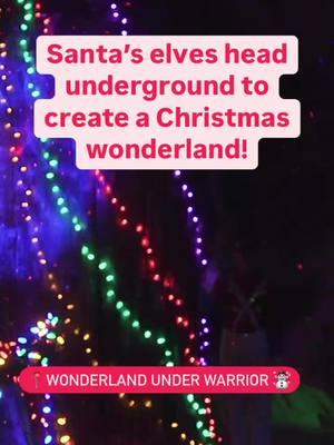 Rickwood Caverns State Park turns into a Christmas wonderland this time of the year. Santa’s elves head underground with lights and garland to create “Wonderland Under Warrior,” where 300-million-year-old fossils can be found in the limestone formations.  Wonderland Under Warrior runs through January 5th, 2025 and Santa will be available for photos until Dec 23rd. Tickets are $12 for ages 5 and up and reservations are recommended.  #thisisalabama #rickwoodcaverns #stateparks #caves #holidaycheer #merrychristmas🎄 #happyholidays #tistheseason