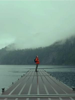 that pnw feeling..  #travel #explore #cinematic #pnw #sonyalpha #wander 