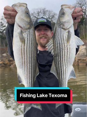 Replying to @Dallas Wright Let’s go fish Lake Texoma! #fishfrenzy #toomuchfish #stripedbass #whitebass #texoma #laketexoma #fishing #freshwater 