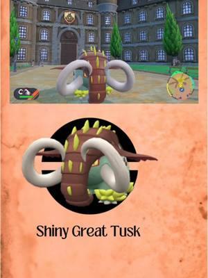 BEST way to fond shiny Great Tusk in Pokémon Scarlet and Violet WITHOUT using Herba Mystica!✨✨✨ #shinygreattusk #greattusk #pokemonsc#pokemonviolet #pokemonscarletviolet #pokemonscarletandviolet #shinypokemon #pokemonshiny #shinypokemonhunting #charmsquad #thecharmsquad 