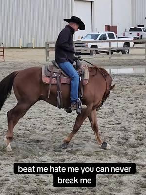 Beat me.... Hate me.... YOU WILL NEVER BREAK ME! #justbeyou #real #dreambig #noexcuses #barrelracer #barrelhorse #horsetrainer #smallsteps #consistencyiskey #buildconfidence #neverstop #giveityourall #lovetheprocess #trusttheprocess #itsallornothing #coltstarter #luckyahorsemanship #stayhumble #noregrets 