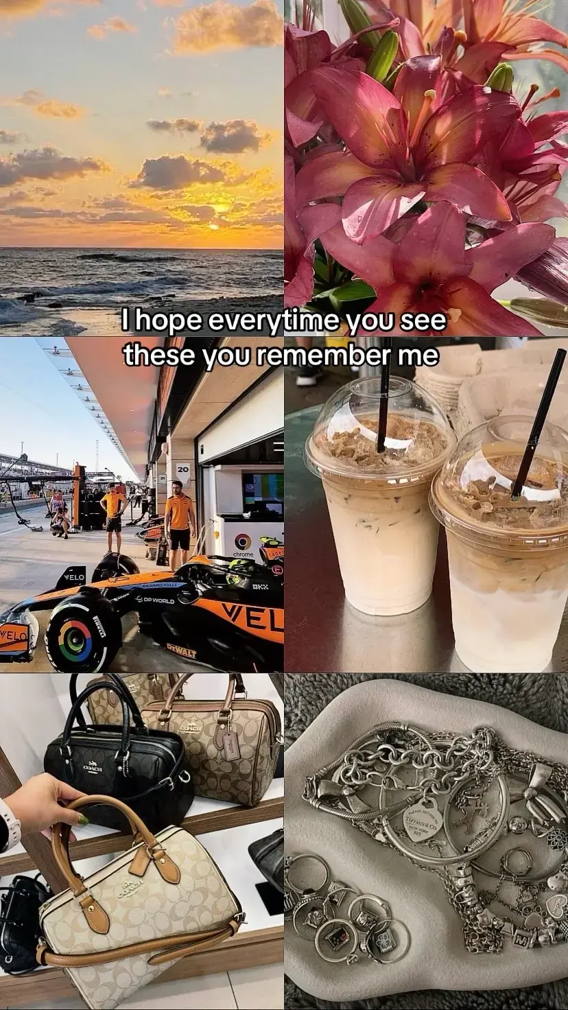 and literally any farm animal #silver #sunsets #f1 #ocean #coffee #coachpurse #lilys #flowers #jewelry #fyp #rememberme #reminded #me #corration #ihopeyouthinkofme #viral #new #trend 