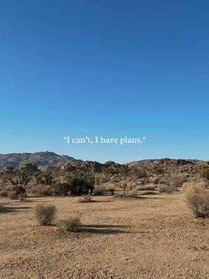 me the last week 🌵 #joshuatree #naturetok 