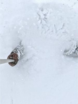 Flow state fuels the souls of powder hounds in Jackson Hole ❄️ enjoy this escape from the maladies of modern living, now in powder form! Send this to your powder day posse 🤠  🎥 Bobby Havland on @GoPro HERO13 Black ⛷️🏂 @Brooks Curran @Cooper Branham @Veronica Paulsen @Mark @bobbyhavland @TamiRazinger  #skitok #powder #powderskiing #jacksonhole 