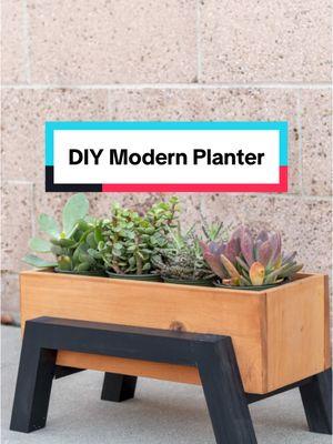 Curious about the secret to those angled legs? 👀✨ It’s easier than you think! Here’s how to build this sleek modern planter in just half a day: Materials: 1×6 boards for the box + 2×2 and 1×2 boards for the stand. Angle for Legs: Cut the 2×2 boards at a 15° angle for that modern look. Steps: Build the box with glue + nails, then attach the legs using pocket holes. Finish: Stain or paint in your favorite colors! Perfect for indoors or outdoors, and beginner-friendly! 🌱 #diygiftideas #diyplanter #diychristmasgifts #woodworkingproject #woodworkingplans #tiktokpartner 