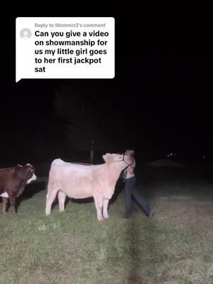 Replying to @Mommin3 Here are some showmanship tips for those of y all that have been asking. If you have any other questions, make sure to let me know in the comments. #fyp #influencer #showcattle #showlife #keepinitcountry #willow #willow #slay #showmanship 