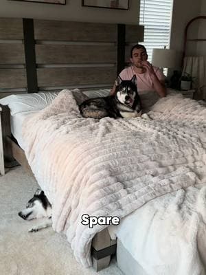 This might be my favorite ending to a video ever…  #dogsoftiktok #dogsoftiktokviral #husky #huskies #dog #dogs 