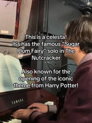 “Celesta” from the French “Celeste” or “heavenly, of the skies and stars” #conductor #conductortok #music #celesta #nutcracker #pit #solo #sugarplumfairy #harrypotter #keyboards #conductingtok #howto #tchaikovsky 