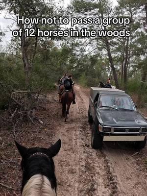 When riding during hunting season, be mindful of hunters. Most are great about letting horses move to the side before passing. Then you have this jerk who drove directly through our group of 12 horses with a child in the vehicle, screaming that hunters have the right of way. Not only was he wrong, he put everyone in danger being an ass.  #trailtwats #trailriding #horsegirls #hunters 