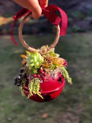 This turned out so cute 😍 #succulents  #doorhanger @Jennie @Healingoutloud2 @Garden Answer #SucculentDecor  #HolidayVibes  #homedecor  #PlantParent  #plantqueens  #echeveria  #aloevera 