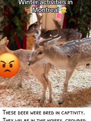 #deer #dont #belong in a #mall . They were #bred in #captivity and will #spend over a #month in this #confined #noisey #crowded space. #animalsarenotforourentertainment #fy 