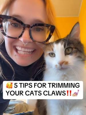 💅🏼 5 Tips For Trimming Your Cats Claws! . . . #cat #catbehavior #catbehaviour #catbehaviorist #certifiedcatbehaviorist #cats #catsofinstagram #behavior #kittybehavior #kitty #behaviour #behaviors #behaviorist #catsareawesome #ilovecats #cattraining #trending #catsoftiktok #cattok #fyp #foryourpage #badcat #badcats #badcatsoftiktok #badcatparent #catsarefunny #catsareweird #fypシ#catsarebetterthandogs #catsarethebest #wildatheartcats #wildatheart #catlover #catlove #catfight #catsfighting #kitten #kittens #kittentok #kittensofinstagram #introducingcats #kittenrescue #catrescue #catcare #claw #claws 