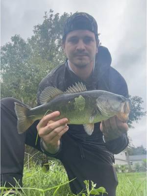 Bro Destroyed the fluke! #🐐 #inkedangler #407fishing #407 #bassfishing #largemouthbass #peacockbass #tarpon #snook #chasingbigfish #chasingfish #topwater #nlbn #nolivebaitneeded #monsterbassfishing #hugebassfishing #bigbassfishing #flukefishing #zoombaits 