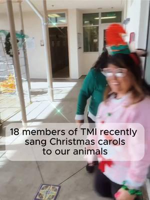 🎵🐾 A huge thank you to the 18 amazing volunteers who sang to our animals and staff on Friday! This event marked the third year that Toward Maximum Independence has come out to sing Christmas carols, and we couldn’t be more grateful for the joy they shared. Your kindness and music brightened our day and brought tail wags all around! 💖🐕 Want to get involved? Visit our website to learn how you can volunteer with us and make a difference! 🌟  #TowardMaximumIndependence #VolunteerSpirit #HolidayCheer #MakingADifference #GiveBack #VolunteerOpportunities #CommunityLove #AnimalRescue #VolunteerWithUs