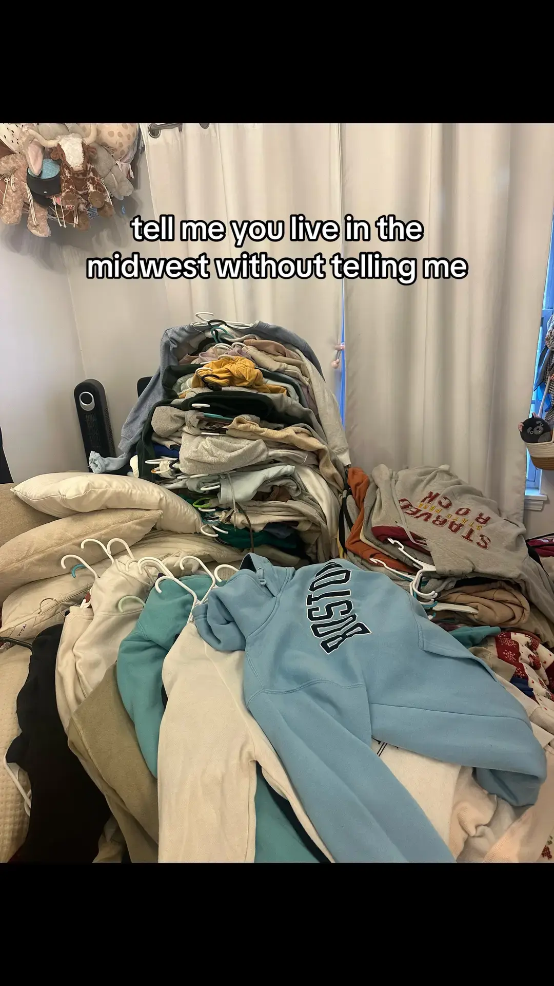 time for my anual purge to donate #midwest #regionrat #midwestwinter #chicagowinters #alwayscold #christmasdonate #hoodie #donate #goodwill #closetpurge #fyp #smallcreator 