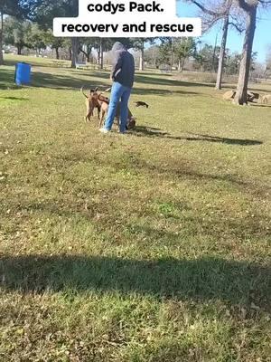 #rescuedog #recoveryispossible #fyp #texaslove #hesofineeee #hesperfect♡ #soberlife #daddysgoodgirl😈 #brattysub #emogirlsoftiktok #manandhisdog 