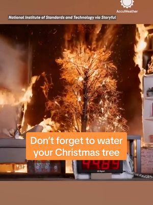 One week until Christmas! 🎄 Don't forget to water your tree if you have a real one!  #christmas #christmastime #fire #firesaftey #firerisk #christmastree #housefires #safety #tips #news #accuweather 