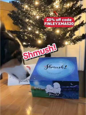 You can get a one week trial box or one month supply @Shmush Pets 20% off: FINLEYXMAS20 #jackandalfie #finleyandjosie #jackandfinley #dogsoftiktok #petslife🐶 #healthydogtreats #fypdog #wooftok #cutedoggy #tiktoker #tts #shmush 