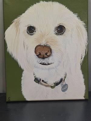 it has been a while since i got an 11x14 😍 this is probably my favorite one yet! i am obsessedddd  #painting #paint #acrylic #canvas #portrait #girlswhopaint #craft #hobbies #artsandcrafts #pet #petportrait #cute #Love #sidehustle #custompetportrait #petmemorial #dog  #doglady #dogportrait #dogpainting #art2024 #creativeart #artoftheday #dogtok #fyp #foryou #cute #obsessed #Love #christmas #gift #giftidea 