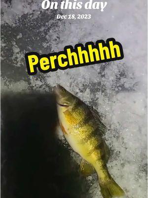 Perchhhh 🧊🐟🎣 #htenterprises #icefishing #htent #htice #icefish #fishing #ice #hardwater #ht #fishin #teamht #letsgofishing #fishin #fishon #perch 