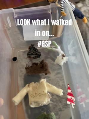 Just another day at our house #gsp #gspsoftiktok #gsppuppy #gspoftiktok #puppy #fails #mystery #whodidit #innocentuntilprovenguilty #guilty #funnyvideo 