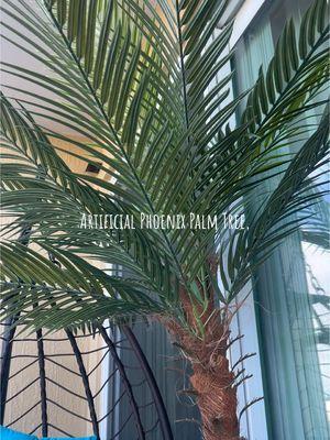 Artificial Phoenix Palm Tree,  #artificial #phoenix #palm #tree #viral #recomendation #homedecor #olightup2025 #awaytrfashion #viraltiktok #TikTokShop 