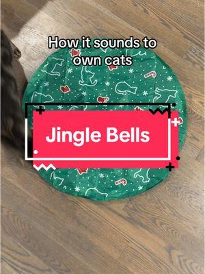 Anyone else hear this all holiday season 🥹 #jinglebells #cats #catvideo #cutecats #cattoys #cat #catlove #catowner #catowners #catmoms