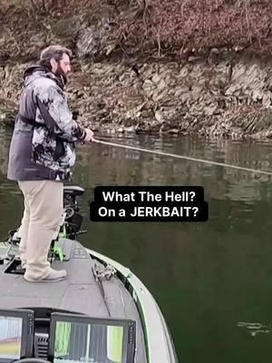 What The Hell? On A Jerkbait? #bassfishing #fishing #fishingrod #fishingtips #fishingvideo #fishinggear #bassfishingbasics #bassfishingtips #bluegill #bluegillfishing #bassgeek #bassfishingtok #fishingtok #fishtok