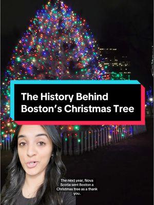 Tell us about your holiday traditions in the comments! 🎄 #Boston #NovaScotia #ChristmasTree #HistoryTok #HolidaySeason #Massachusetts 