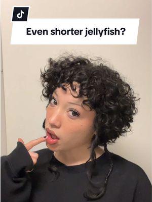 Trimmed my Jellyfish cut into a baby jellyfish🪼 (totally just made that up hehe) Also THANK YOU FOR ALL THE LOVE ON THAT VIDEO OMG🥹 I woke up with a big smile on my face, yall are so sweet!!! Im happy yall dig the cut and that theres some representation out there now. Now its your turn!!!😝  #jellyfishhaircut #jellyfishhaircutcurlyhair #curlyjellyfishhaircut #curlyjellyfishcut #jellyfishhair #jellyfishcurlyhair #shortcurlyhair #curlyhaircut #curlypixie #pixiecut #curlyhairstyles #altcurlyhair #shortalthair 