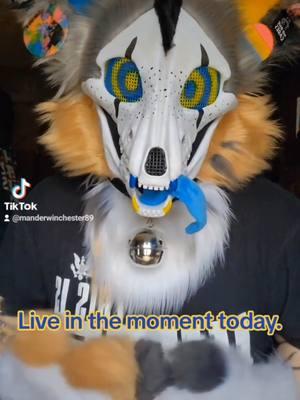 Live each moment! one day at a time!!! #onthisday #skulldog #skulldogs #lupin #spookerthestripedhyena #skullyeen #griffinthemutantwolfdog #furryagainstzoos #furryagainstbully #furrysafeplace #furrysafespace  #furrytiktok #furrytiktoker #furryinstagram #furry #furries #fursuit #fursuitrefurb #fursuiter #kindness #kindnessmatters #mentalhealthmatters #MentalHealthAwareness #furriesgotme 