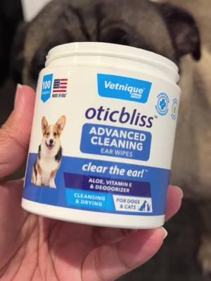 #earcleaningdog #dogearcare #dogsoftiktok #vetniquelabs 