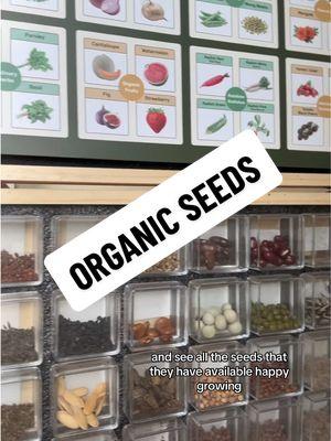 I used to stress about what seeds to get, but these boxes make it fun to try a wide variety of flowers and veggies.  #organicgardening #gardening101 #seeds #seedbank #lushanddew #smallgarden #smallgardenideas #TikTokShop #tiktokshopfinds 