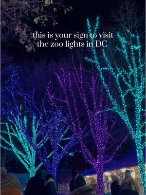 zoo lights at the national zoo in DC was a 10/10 🎄❄️🐻‍❄️ #christmas #dmvdateideas #christmasactivities #datenightideas #dmv #thingstodoindc #dc #dmvtiktok #dmvlife #dmvholiday #holidaylights #thingstodointhedmv