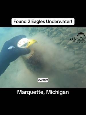 We found 2 fake EAGLES, a Milwaukee drill, a case of drill bits and MORE while cleaning up the water in Lake Superior, in Marquette, Michigan! 😳👉🦅 This past June, Silent J and I were up in that area for a few days, cleaning up the waterways.  Lake Superior was kinda chilly, but super clear and easy to see and remove litter, like tires, plastic, glass and more.  We were near the Lower Harbor Ore Dock and Retired Ore Dock. The rod/reel combo that we found in this video was returned to the rightful owner a few weeks later! 😃👍 #scubadiving #marquette #michigan #lakesuperior #eagle #fyp #fun #adventure #underwater #cleanup #milwaukeedrill #fishingpole 