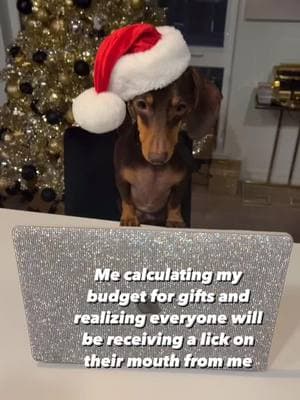 Feliz naughty dog everyone  #minidachshund #minidoxie #dachshundpuppy #dachshundoftheday #weinerdog #puppylove #dachshundappreciation #doxielove #minidachshundpuppy #miniaturedachshund #babydog #doxielove #minidoxie #dachshundpuppies #naturaldogtreats #barkbox #barkboxtreats #pdxdog #portlanddog #portlandpuppy 