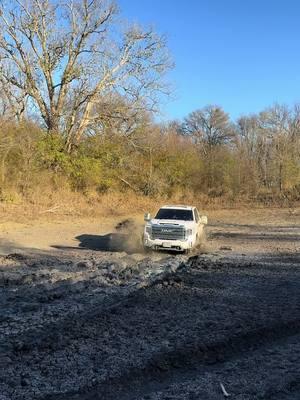 Found a mud hole. #fyp #duramax #denalihd #deletedl5p #lilbeermoney #wcfab #grapps #leveledon37s 