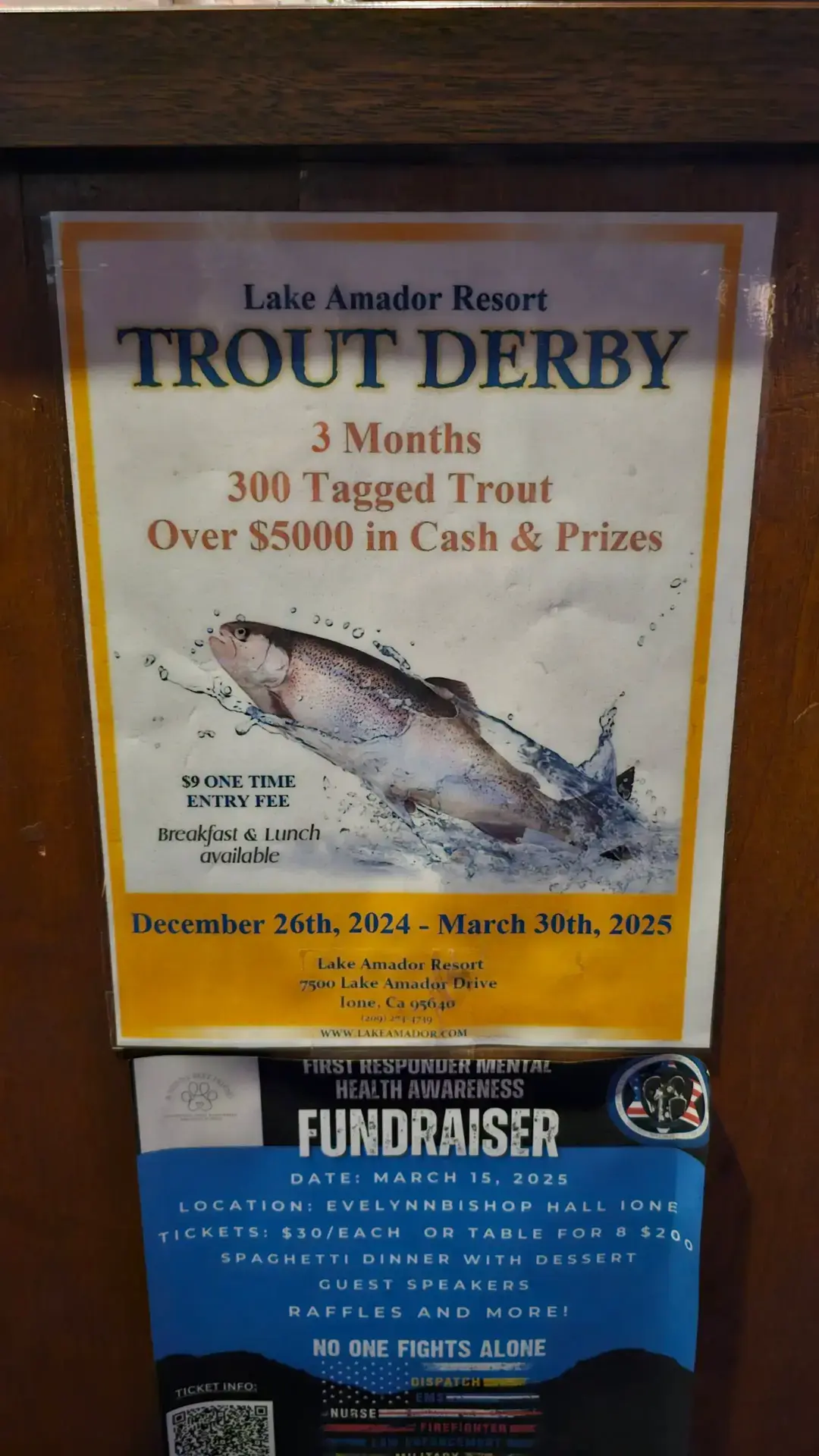 #letsgo this years #derby is set to start the day after #Christmas y'all  #lakeamador #hatcheryylife #fypシ #fyp #fyf #fishingtiktoks #fishinglife #fishtok #fishcontent #fish #fishing #trout #gold #cutbowtrout #rainbow 