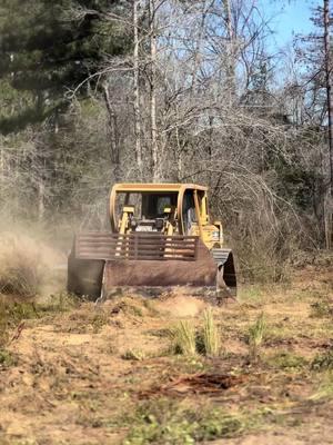 #shearing #landclearing #D6r 