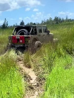 #jeepsoftiktok #jeepoftiktok #jeepoffroad #jeep #foryou #foryoupage #jeepwrangler #4x4 #jeeplife #trucks #mud #mudding #mallcrawler #fypage #jeep4x4 