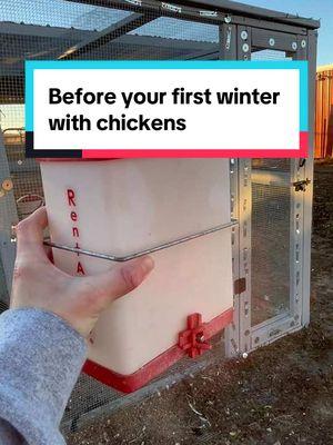 In most cases adding heat to your coop has more cons than pros. Use common sense- do quality research- and weigh the pros and cons before doing anything! #chickens #winterchickens #backyardchickens #chickenmom 