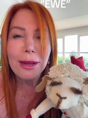 I needed a laugh and I got one!#lambchop #thesongthatneverends #bestfriend #puppetsoftiktok #showbiz #over60club #millennialsoftiktok #boomer #genx #genz #pun #humor #joke #sheep #lamb 