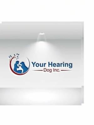 Please consider donating at the link in my bio @Your Hearing Dog #hearingdog #guidedog #deaf #deafcommunity #hoh #charities 