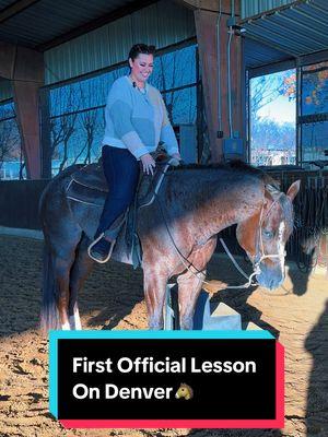 My first official lesson on Denver!🐴 #firstthingzfirst #aqhastallion #stallionsoftiktok #westernpleasure #lope #pleasurehorse 