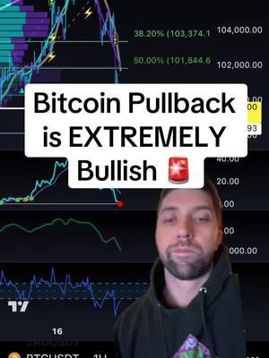 This Bitcoin pullback is extremely bullish going into 2025 #bitcoin #btc #bitcointrading #bitcointrader #greenscreen #epiqtradingfloor 