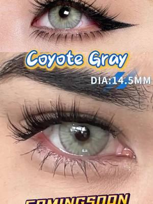 New shades🤎🤍💎 Who’s ready for Coyote Brown & Gray? Comment below! 👇 LENS INFO: DIA:14.5MM |12MONTHS |W.T:42% |BC:8.6 #mislens #mislenscontacts #contactlenses #coloredcontactsfordarkeyes #fypage #browncontacts #graycontacts #eyemakeupideas #viralbeauty #winterfashion #beforeandafter