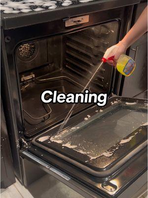 I definitely recommend this product! 🤩 #cleaner #grillcleaning #cleaningtiktok 