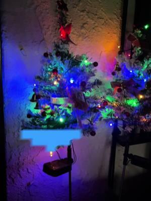 #christmasdecorating #chritsmasvibes #christmasdecor #deciraciondenavidad #arboldenavidad #navidaddecoracion #christmasoutdoordecor #decoraciondenavidad #tiktokblackfriday #tiktokshopfinds #TikTokShop #fyp #paratii #solarpoweredlight #solarpoweredchristmaslights #decoracionnavideña 