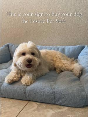 Soo comfy your pet will love it 🐶🩵 @Lesure Pet #Lesure #Lesurepet #Lesurepetsofa #Lesuredogbedsofa #dogmom #dogsoftiktok #catsoftiktok #tiktokshopblackfriday #tiktokshopcybermonday #tiktokshopholidaydeals #BFCM #BlackFriday2024 #blackfriday #christmas #christamasday #christmastree #christmasgift #maltese #maltesedog #malteseoftiktok #maltipoo #holidayhaul #spotlightfinds #fyp #fypシ #fypシ゚viral #viraltiktok #viralvideo #giftideas #dogmomlife #dogmomsoftiktok 